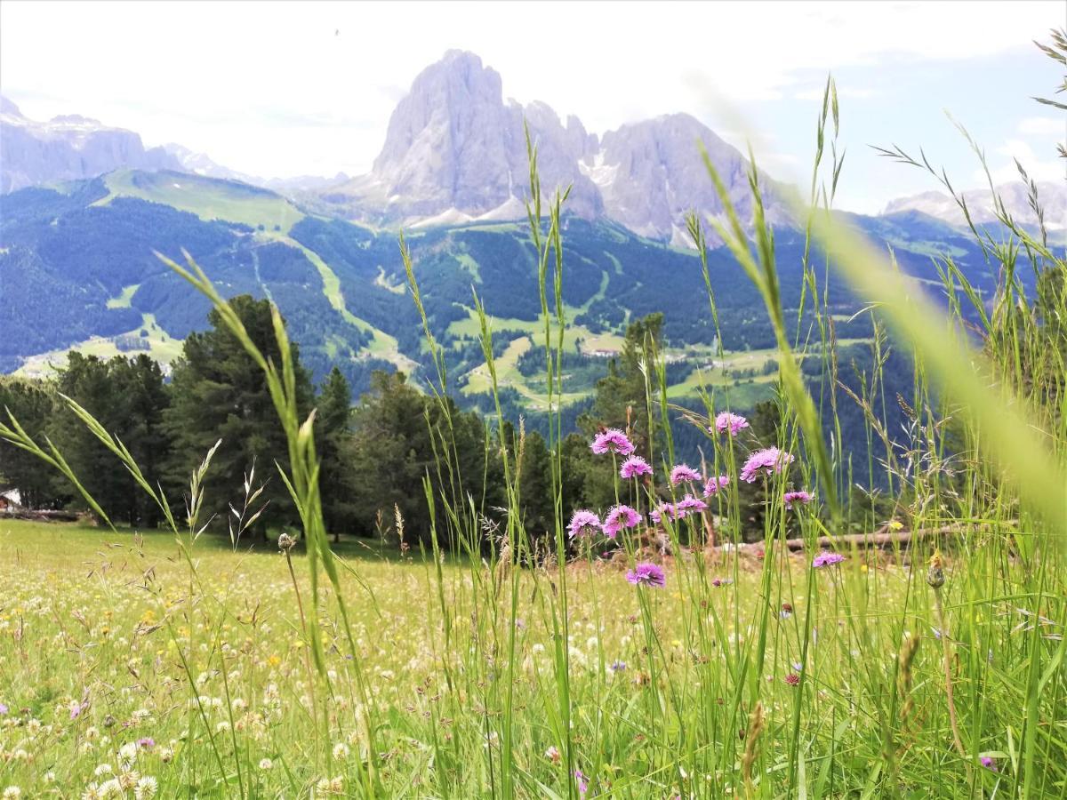 Hotel Oswald Selva di Val Gardena Esterno foto